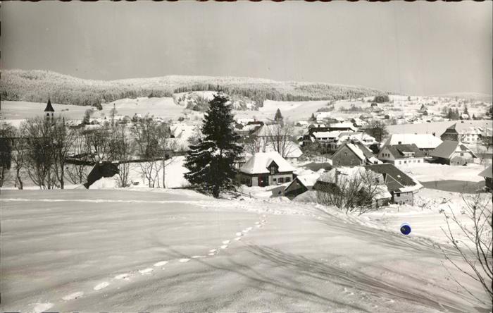 Haeusern Schwarzwald Panorama