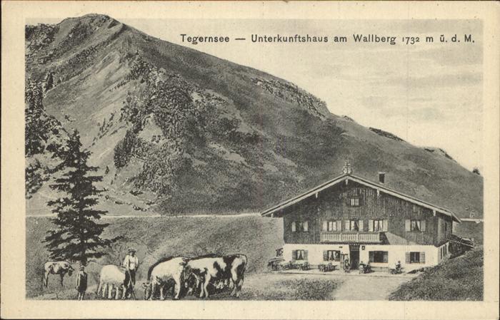 Tegernsee Bayern Unterkunftshaus am Wallberg Kuhherde