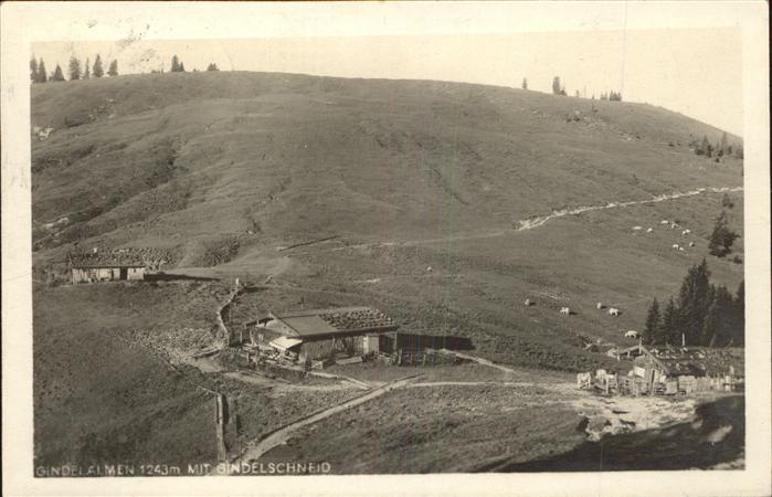 Tegernsee Bayern Gindelalmen mit Gindelschneid