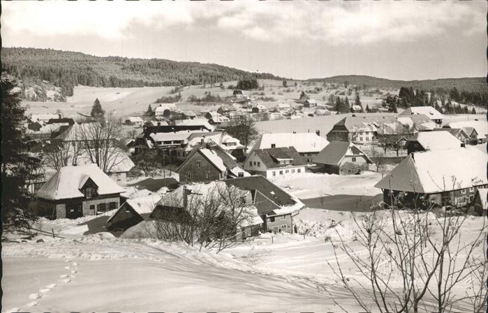 Haeusern Schwarzwald Panorama