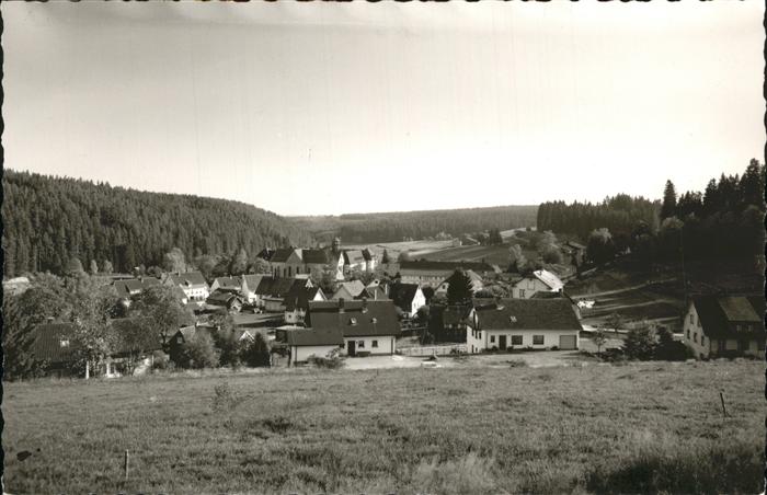 Friedenweiler Höhenluftkurort Wintersportplatz Schlos