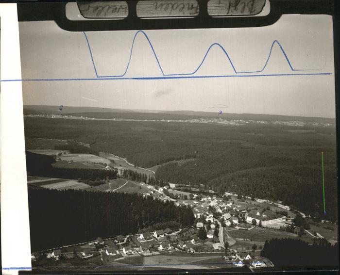 Friedenweiler Höhenluftkurort Wintersportplatz Schlos