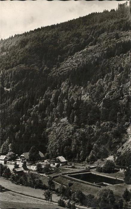 Todtnau Schwarzwald BW Hotel Waldeck Schwimmbad