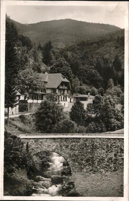 Todtnau Schwarzwald BW Hotel Waldeck Martin Bernauer