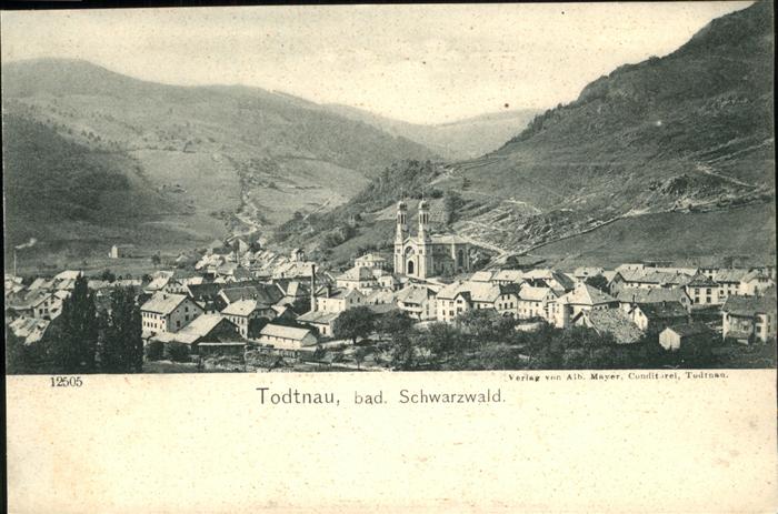 Todtnau Schwarzwald BW Panorama