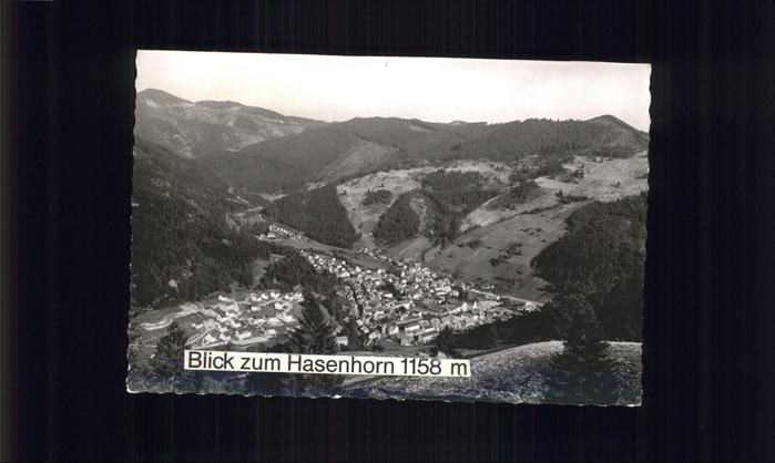 Todtnau Schwarzwald BW Panorama Hasenhorn