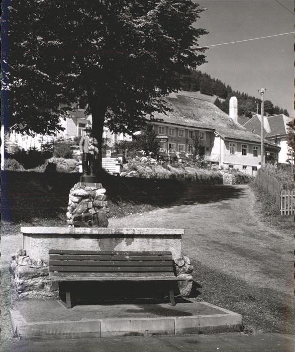 Todtnauberg Schwarzwald BW Brunnen Haus