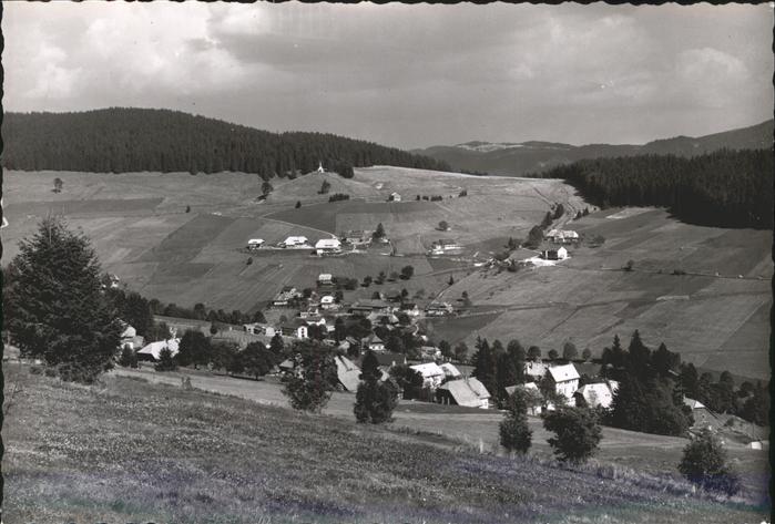 Todtnauberg Schwarzwald BW Panorama