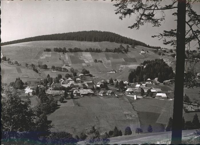 Todtnauberg Schwarzwald BW Panorama