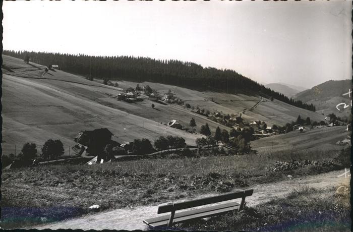 Todtnauberg Schwarzwald BW Panorama