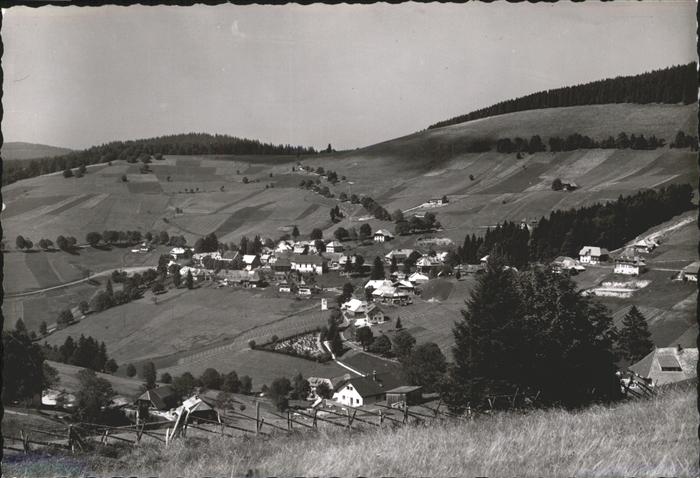Todtnauberg Schwarzwald BW Panorama