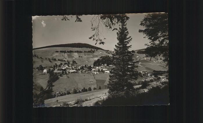 Todtnauberg Schwarzwald BW Panorama