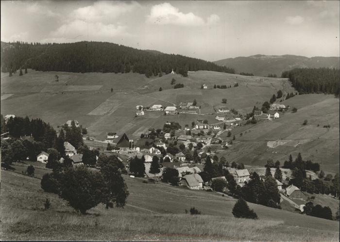 Todtnau Schwarzwald BW Panorama