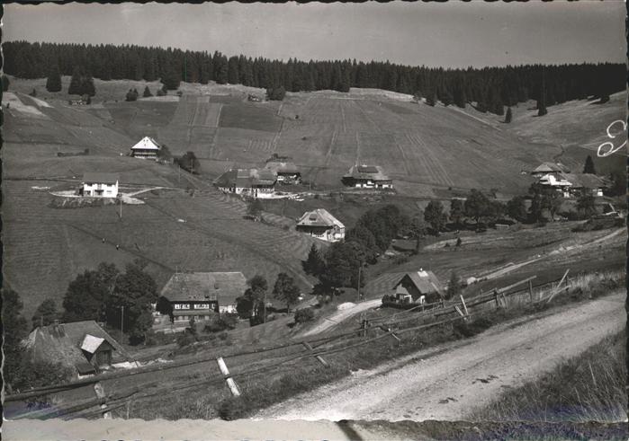 Todtnauberg Schwarzwald BW Haeuser Weinreben
