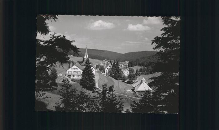 Eisenbach Schwarzwald Kirchenpanorama