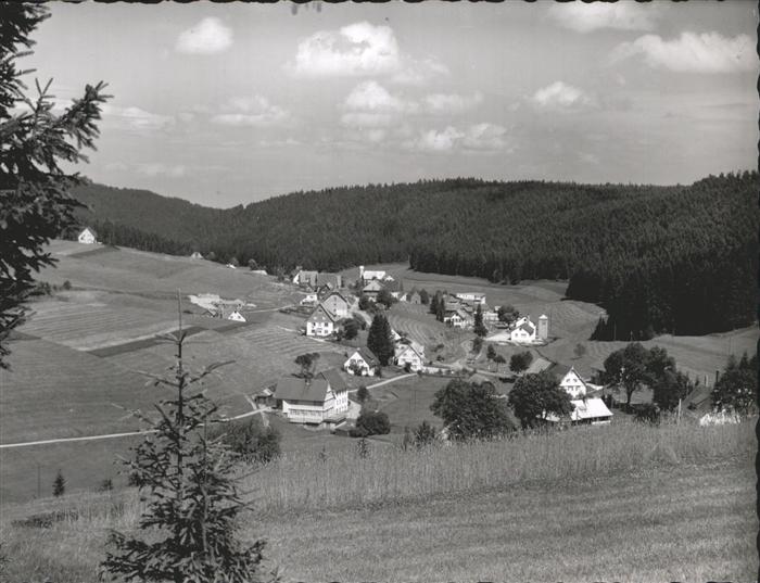 Eisenbach Schwarzwald Panorama