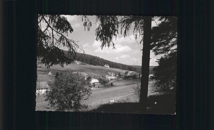 Eisenbach Schwarzwald