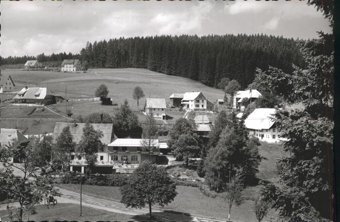 Eisenbach Schwarzwald Wohnsiedlung