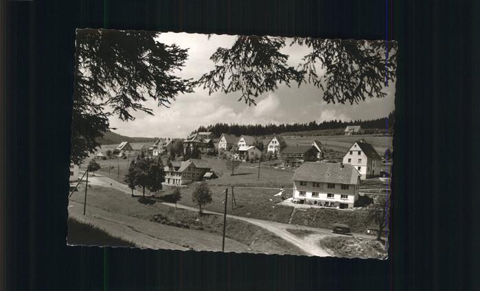 Eisenbach Schwarzwald Wohnsiedlung