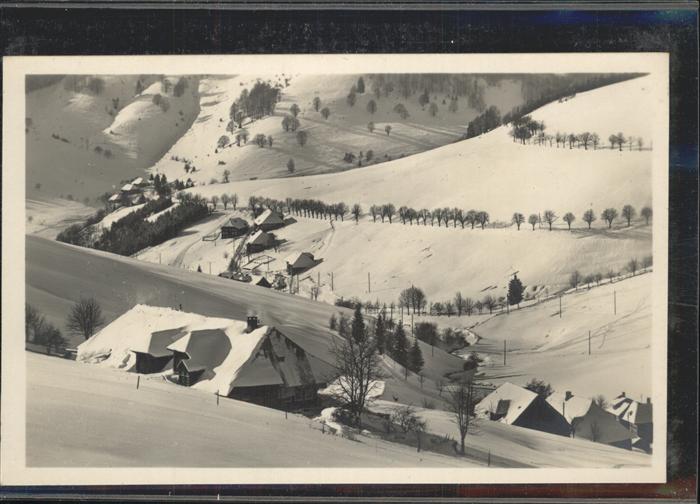 Todtnauberg Schwarzwald BW Panorama im Schnee Blick gegen Hasbach
