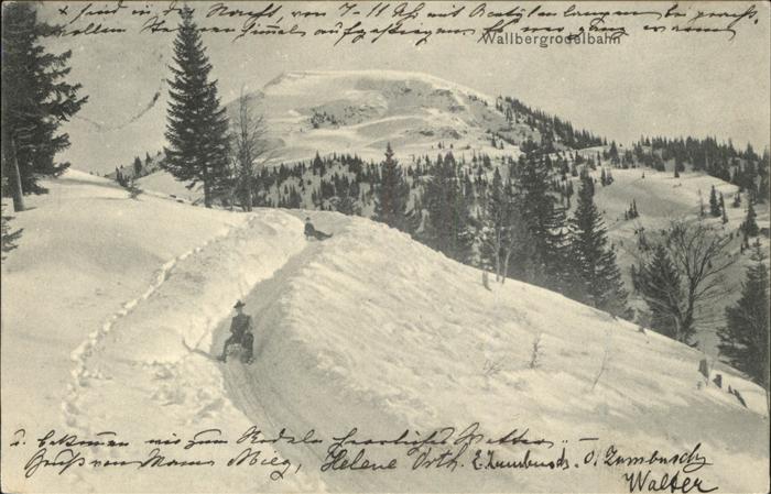 Schlitten Schnee Wallbergrodelbahn