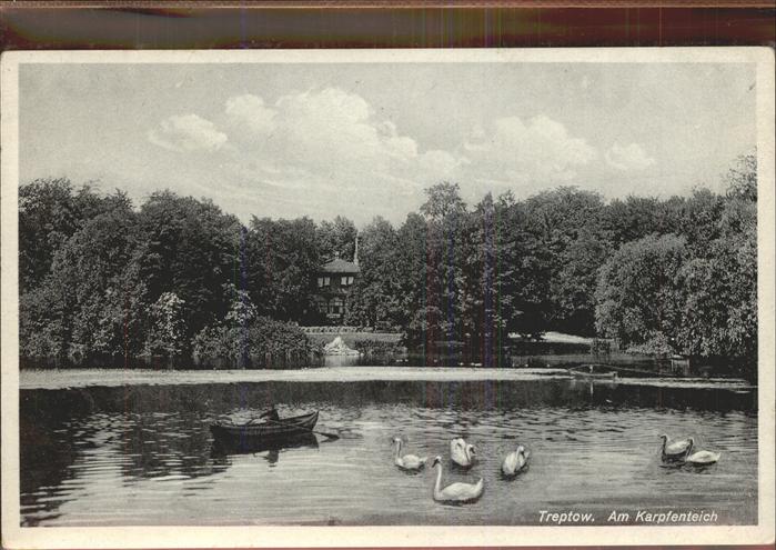 Treptow Berlin Partie am Karpfenteich Schwan