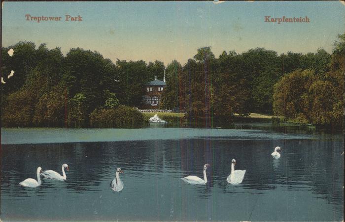 Treptow Berlin Partie am Karpfenteich Schwan Park