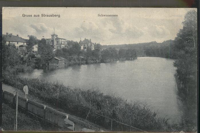 Strausberg Brandenburg Schwanensee