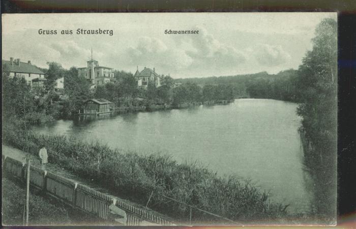 Strausberg Brandenburg Schwanensee