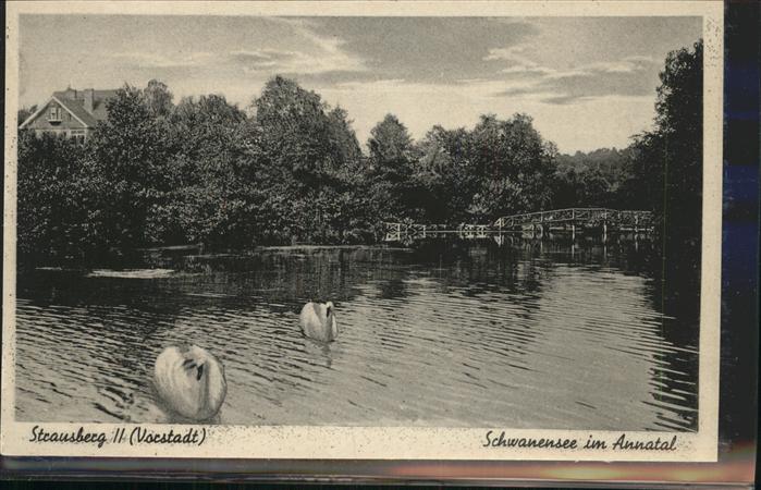 Strausberg Brandenburg Schwanensee Annatal