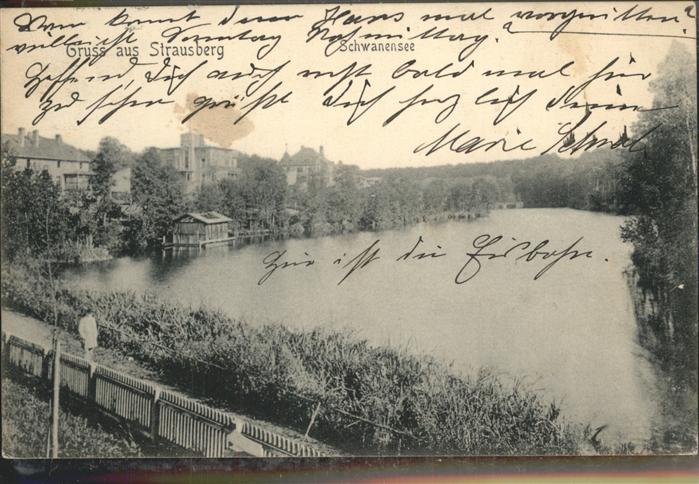 Strausberg Brandenburg Schwanensee
