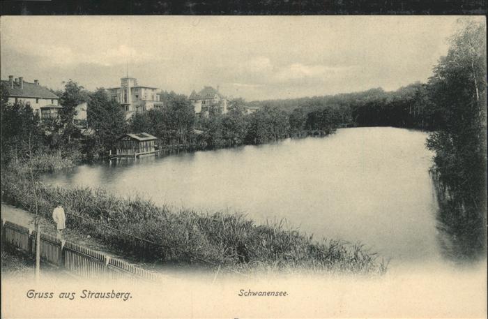 Strausberg Brandenburg Schwanensee