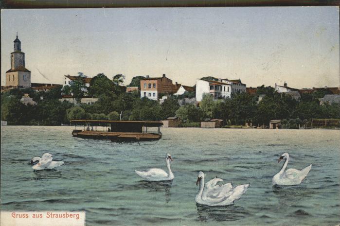 Strausberg Brandenburg See Boot Schwäne