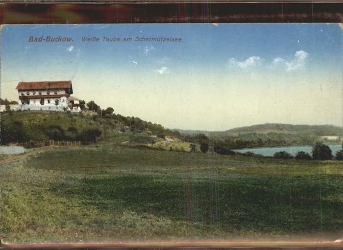 Buckow Maerkische Schweiz Schermützelsee Weiße Taube