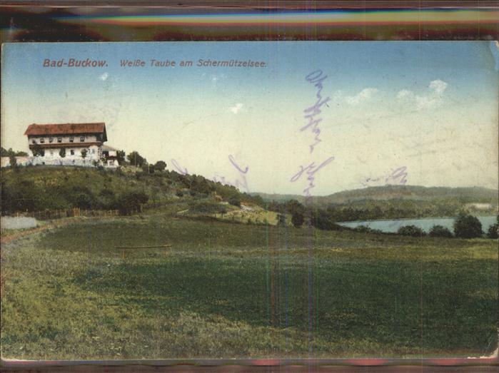 Buckow Maerkische Schweiz Schermützelsee Weiße Taube