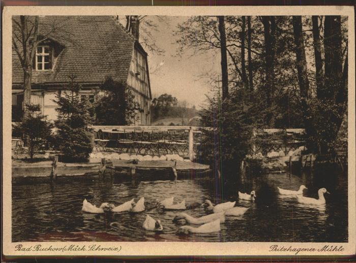 Buckow Maerkische Schweiz Pritzhagener Mühle Schwäne