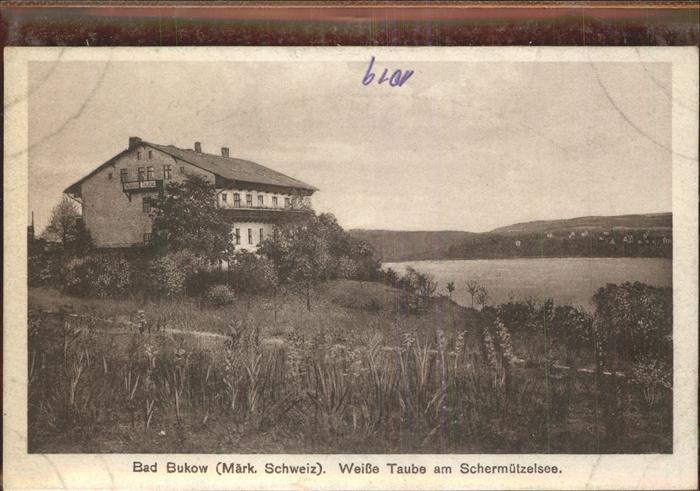 Buckow Maerkische Schweiz Weiße Taube Schermützelsee