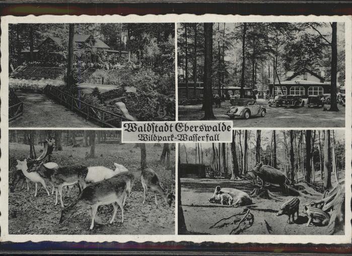 Eberswalde Wasserfall Restaurant Wildpark Reh Hirs