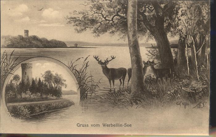 Altenhof Eberswalde Partie am Werbellinsee Burg Turm Hirsch
