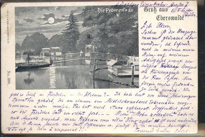 Eberswalde Promenade im Mondschein Steg