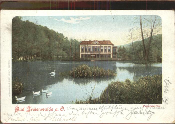 Bad Freienwalde Papenmühle Schwäne