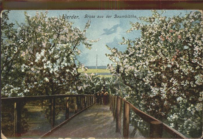 Werder Havel Baumblüten