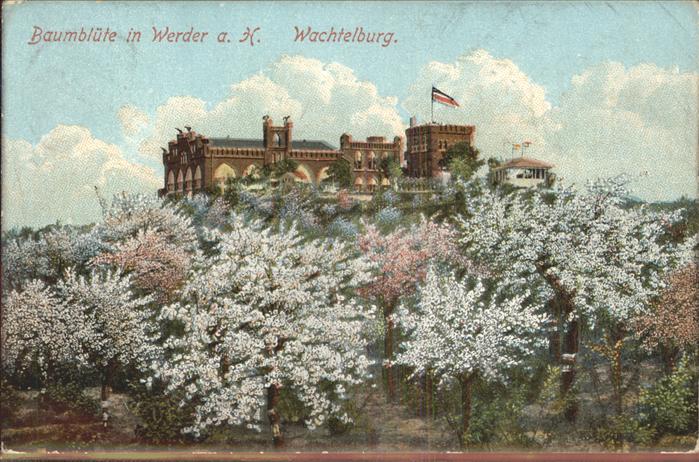 Werder Havel Wachtelburg