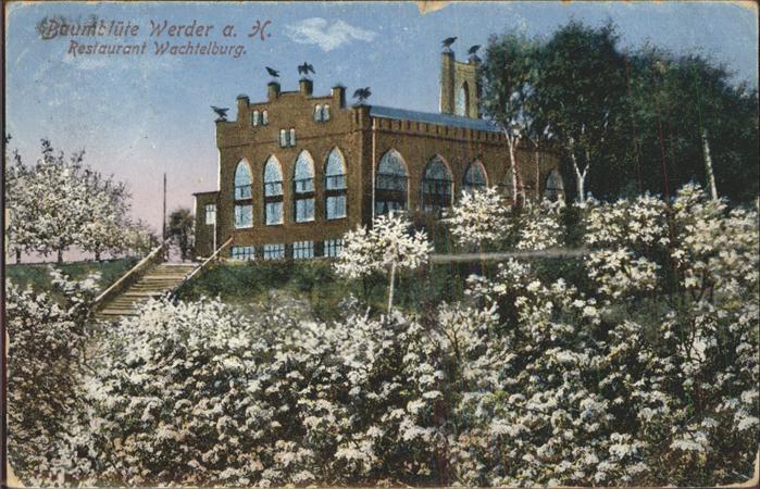 Werder Havel Restaurant Wachtelburg