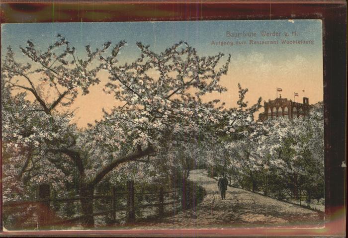 Werder Havel Restaurant Wachtelburg