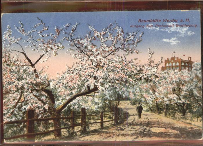 Werder Havel Aufgang zum Restaurant Wachtelburg