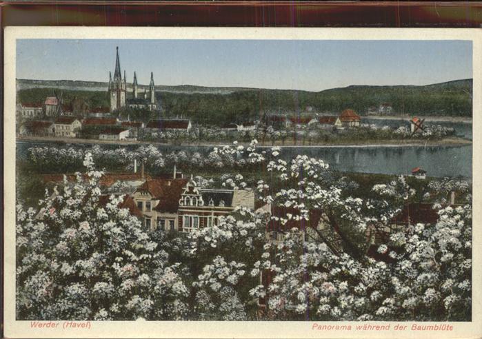 Werder Havel Baumblüten