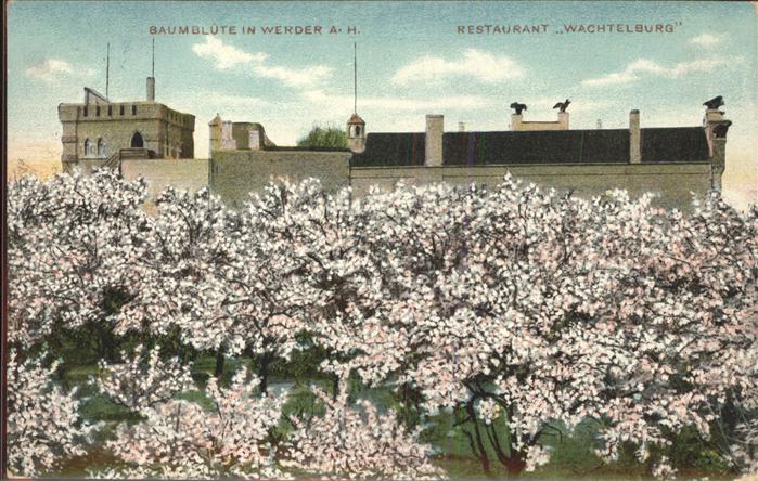 Werder Havel Restaurant Wachtelburg