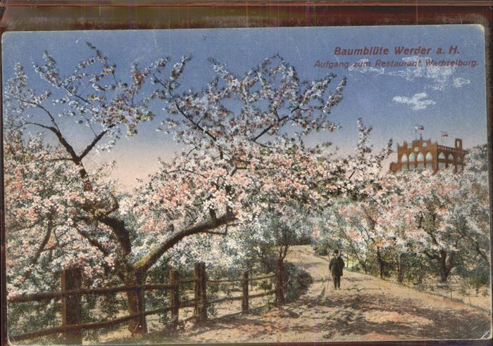 Werder Havel Aufgang zum Restaurant Wachtelburg