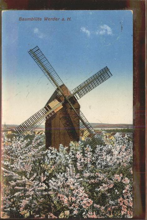 Werder Havel Baumblüten u.Schleichsmühle